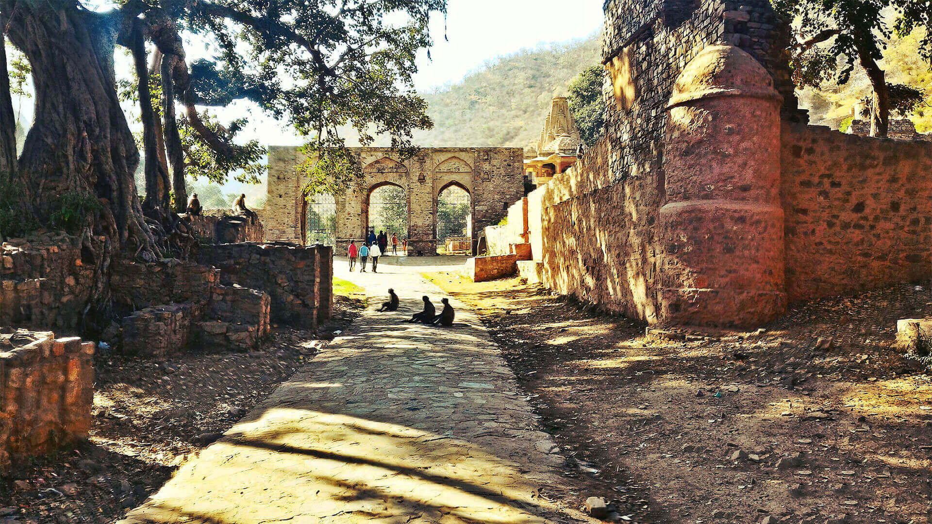 trip in bhangarh fort